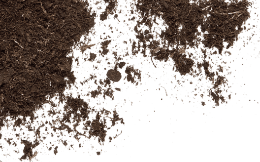 soil