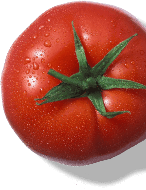 tomato